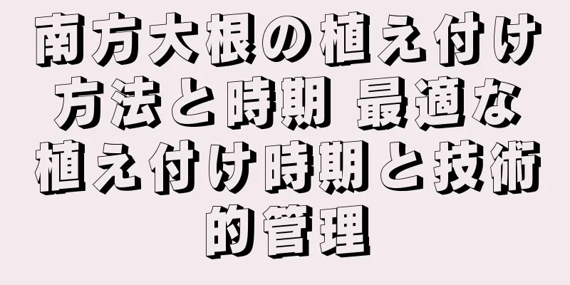 南方大根の植え付け方法と時期 最適な植え付け時期と技術的管理