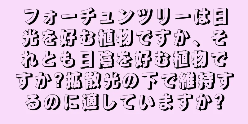 フォーチュンツリーは日光を好む植物ですか、それとも日陰を好む植物ですか?拡散光の下で維持するのに適していますか?