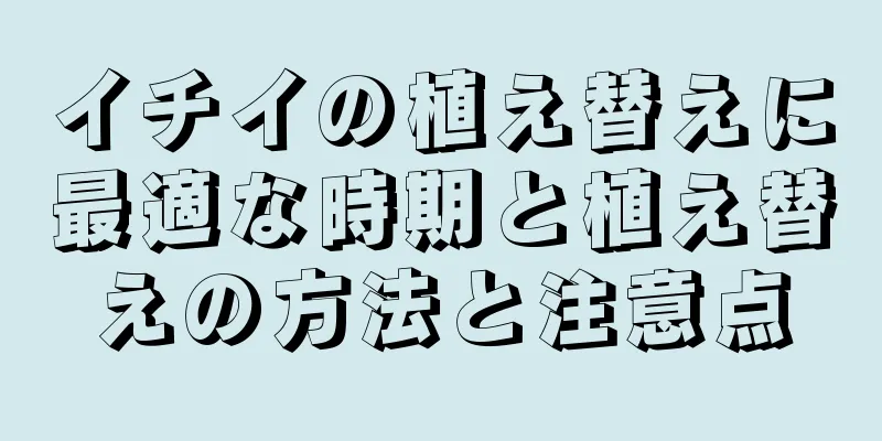 イチイの植え替えに最適な時期と植え替えの方法と注意点