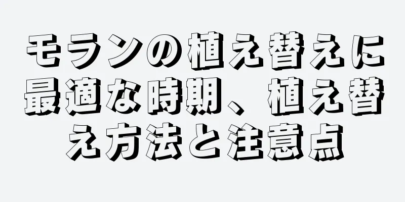 モランの植え替えに最適な時期、植え替え方法と注意点