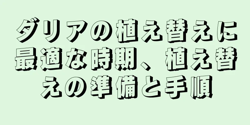 ダリアの植え替えに最適な時期、植え替えの準備と手順