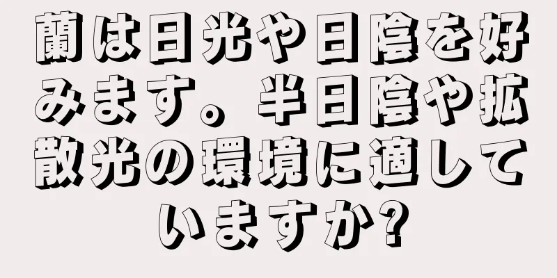 蘭は日光や日陰を好みます。半日陰や拡散光の環境に適していますか?