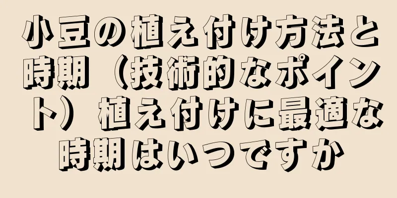 小豆の植え付け方法と時期（技術的なポイント）植え付けに最適な時期はいつですか