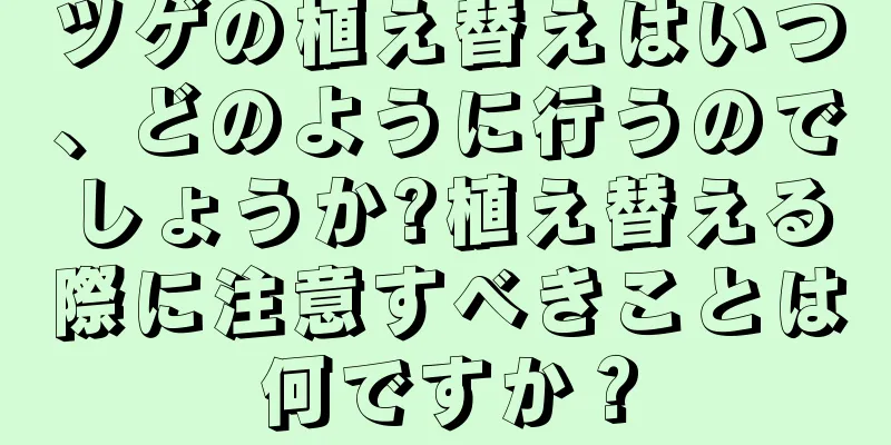 ツゲの植え替えはいつ、どのように行うのでしょうか?植え替える際に注意すべきことは何ですか？