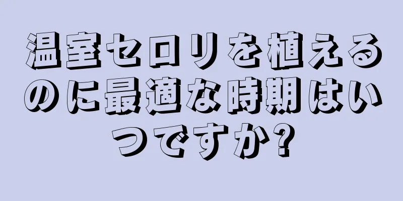 温室セロリを植えるのに最適な時期はいつですか?