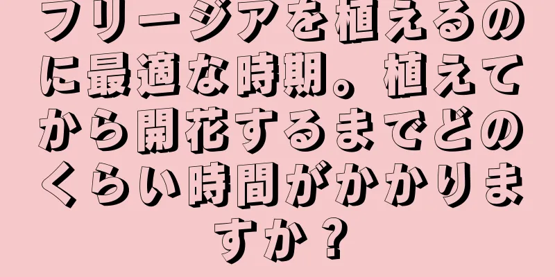 フリージアを植えるのに最適な時期。植えてから開花するまでどのくらい時間がかかりますか？
