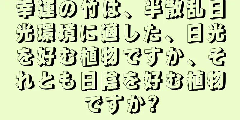 幸運の竹は、半散乱日光環境に適した、日光を好む植物ですか、それとも日陰を好む植物ですか?
