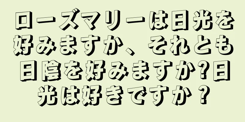 ローズマリーは日光を好みますか、それとも日陰を好みますか?日光は好きですか？