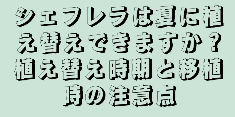 シェフレラは夏に植え替えできますか？植え替え時期と移植時の注意点