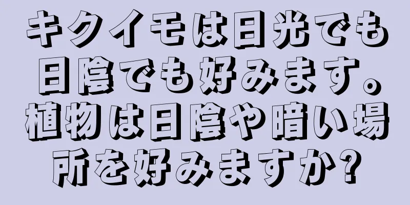 キクイモは日光でも日陰でも好みます。植物は日陰や暗い場所を好みますか?