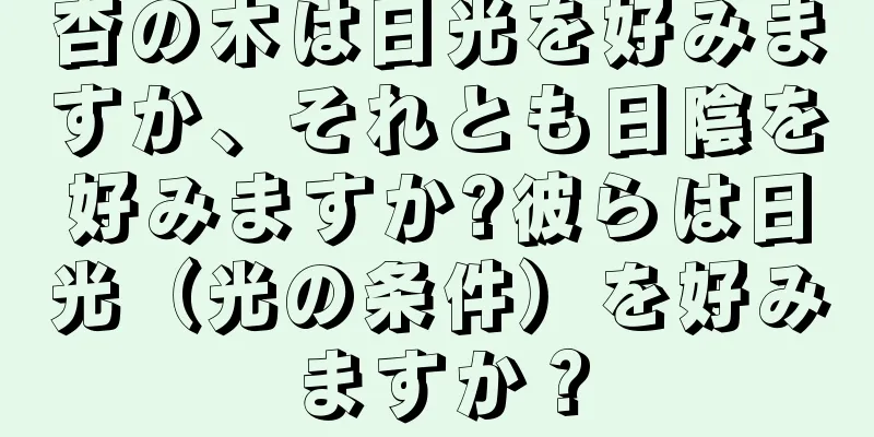 杏の木は日光を好みますか、それとも日陰を好みますか?彼らは日光（光の条件）を好みますか？