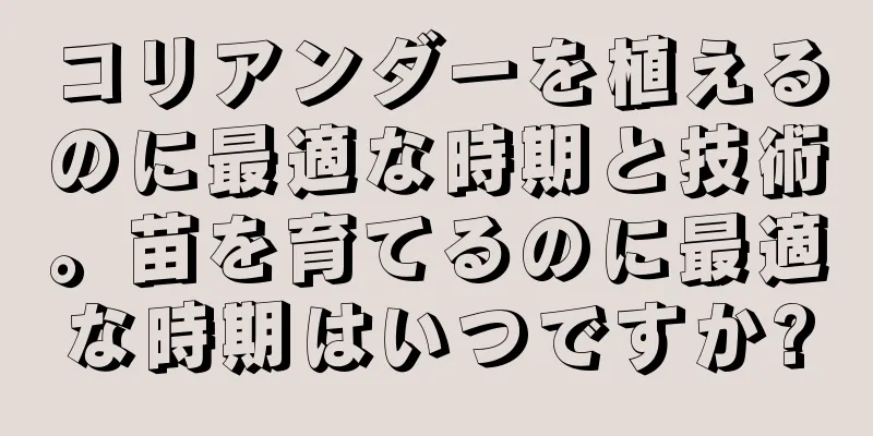 コリアンダーを植えるのに最適な時期と技術。苗を育てるのに最適な時期はいつですか?
