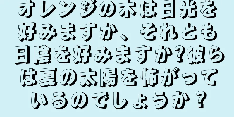 オレンジの木は日光を好みますか、それとも日陰を好みますか?彼らは夏の太陽を怖がっているのでしょうか？