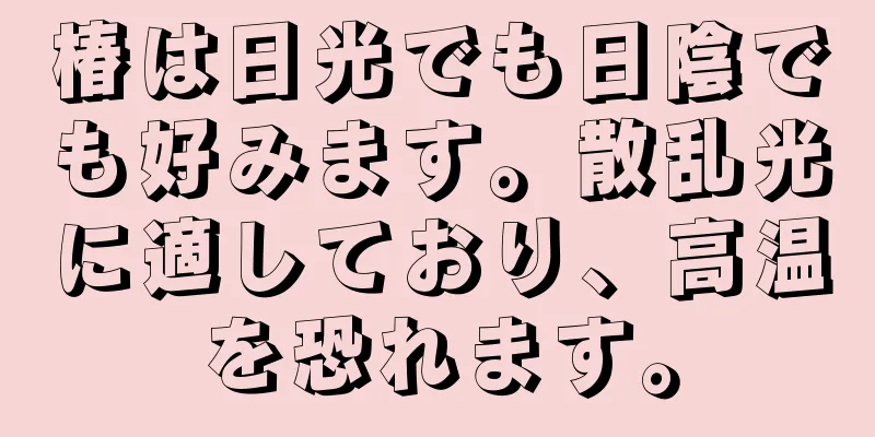 椿は日光でも日陰でも好みます。散乱光に適しており、高温を恐れます。