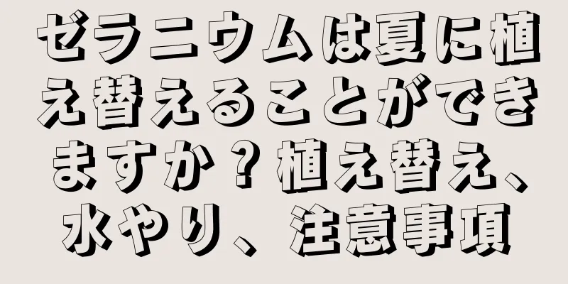 ゼラニウムは夏に植え替えることができますか？植え替え、水やり、注意事項
