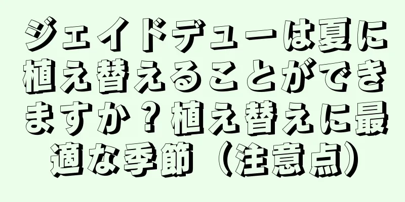ジェイドデューは夏に植え替えることができますか？植え替えに最適な季節（注意点）