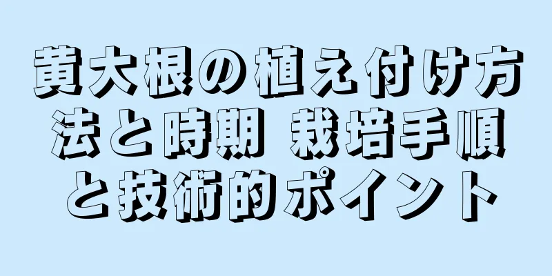 黄大根の植え付け方法と時期 栽培手順と技術的ポイント