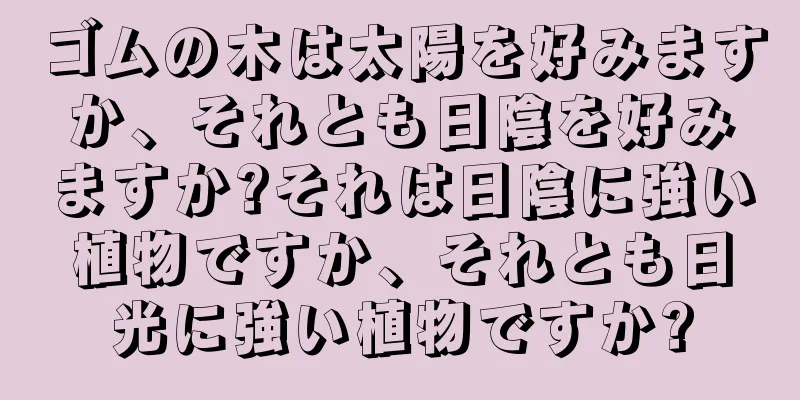ゴムの木は太陽を好みますか、それとも日陰を好みますか?それは日陰に強い植物ですか、それとも日光に強い植物ですか?