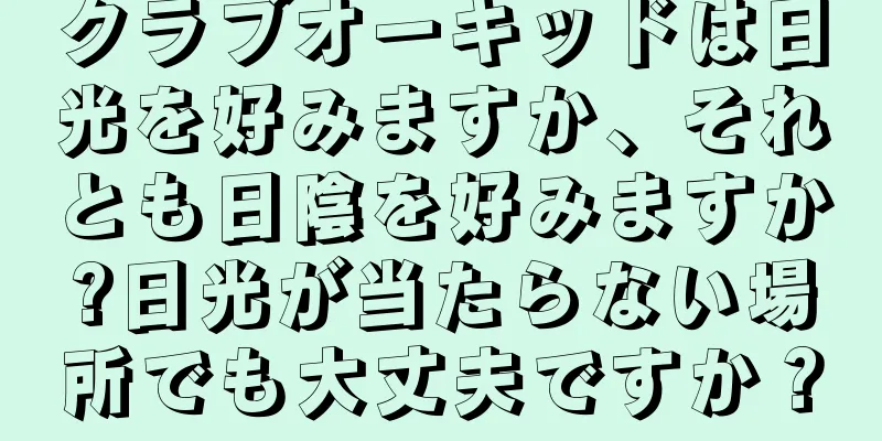 クラブオーキッドは日光を好みますか、それとも日陰を好みますか?日光が当たらない場所でも大丈夫ですか？