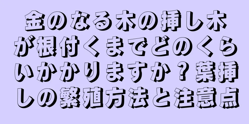 金のなる木の挿し木が根付くまでどのくらいかかりますか？葉挿しの繁殖方法と注意点