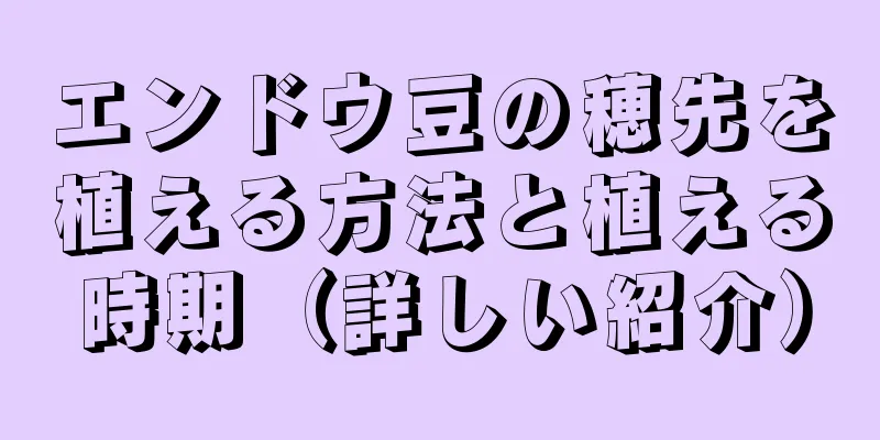 エンドウ豆の穂先を植える方法と植える時期（詳しい紹介）