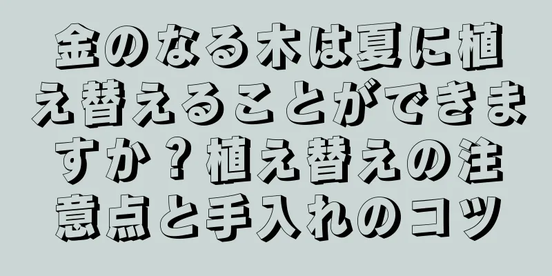 金のなる木は夏に植え替えることができますか？植え替えの注意点と手入れのコツ