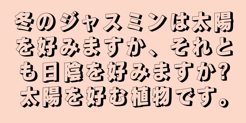冬のジャスミンは太陽を好みますか、それとも日陰を好みますか?太陽を好む植物です。