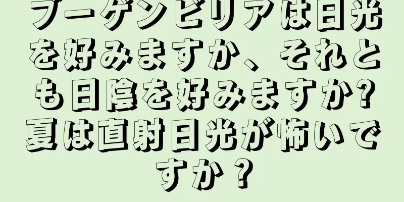 ブーゲンビリアは日光を好みますか、それとも日陰を好みますか?夏は直射日光が怖いですか？