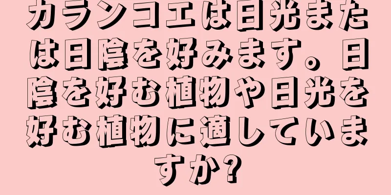 カランコエは日光または日陰を好みます。日陰を好む植物や日光を好む植物に適していますか?