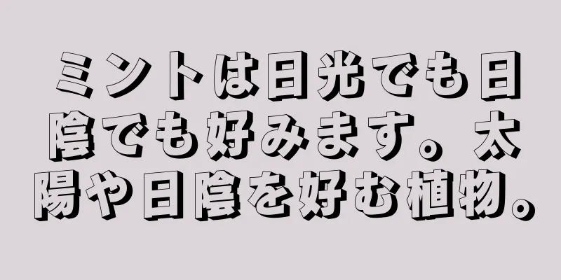 ミントは日光でも日陰でも好みます。太陽や日陰を好む植物。