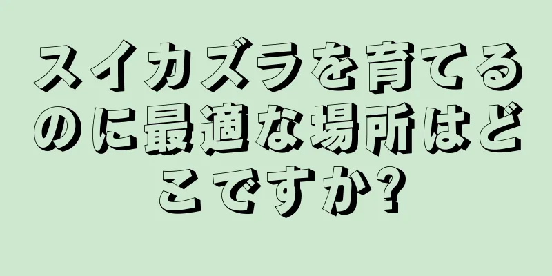 スイカズラを育てるのに最適な場所はどこですか?
