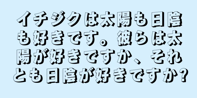 イチジクは太陽も日陰も好きです。彼らは太陽が好きですか、それとも日陰が好きですか?