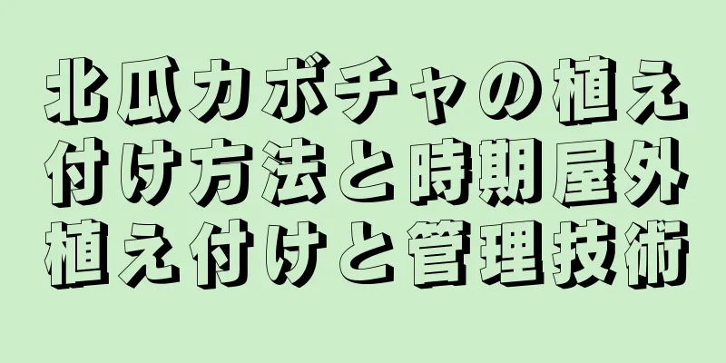 北瓜カボチャの植え付け方法と時期屋外植え付けと管理技術