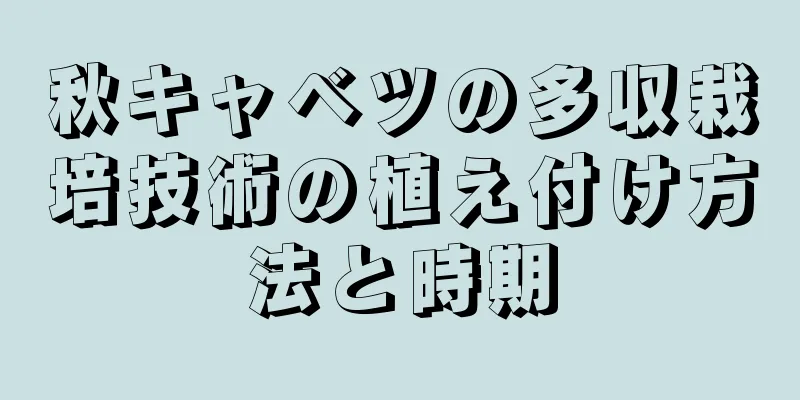 秋キャベツの多収栽培技術の植え付け方法と時期