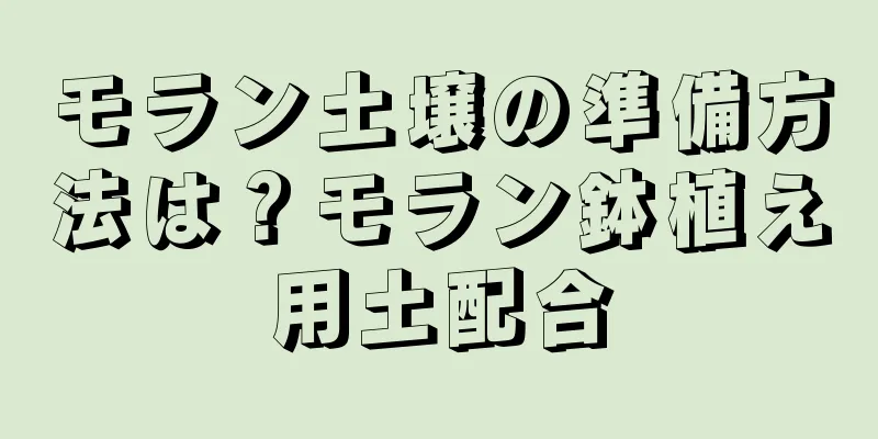 モラン土壌の準備方法は？モラン鉢植え用土配合