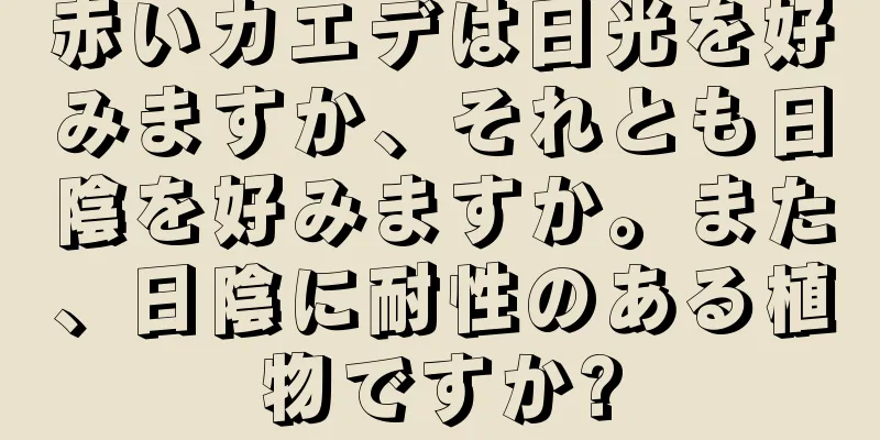赤いカエデは日光を好みますか、それとも日陰を好みますか。また、日陰に耐性のある植物ですか?