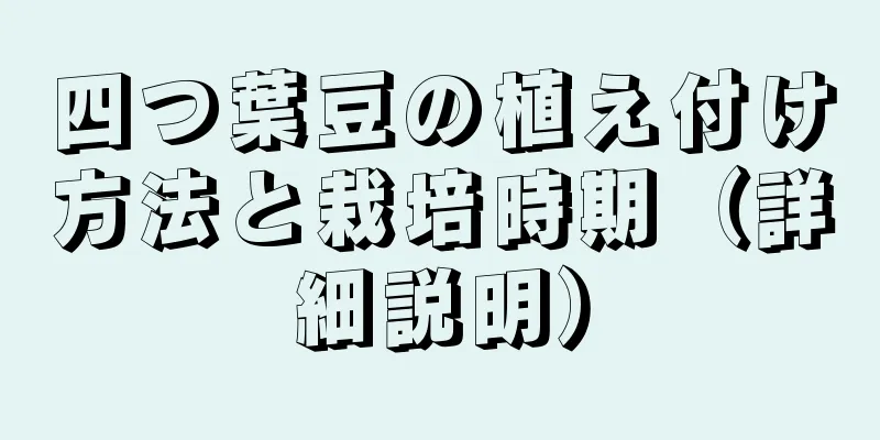 四つ葉豆の植え付け方法と栽培時期（詳細説明）