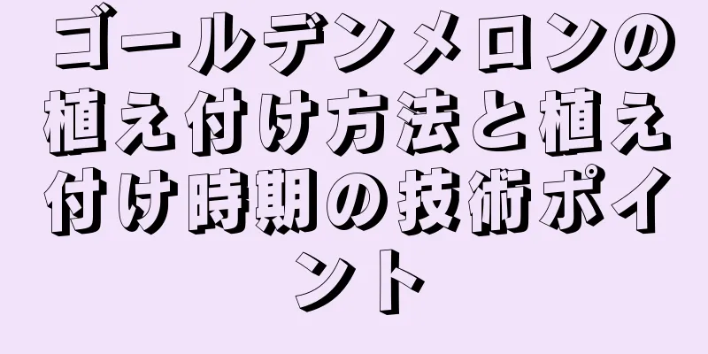 ゴールデンメロンの植え付け方法と植え付け時期の技術ポイント