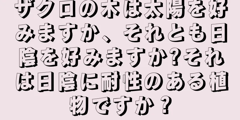 ザクロの木は太陽を好みますか、それとも日陰を好みますか?それは日陰に耐性のある植物ですか？