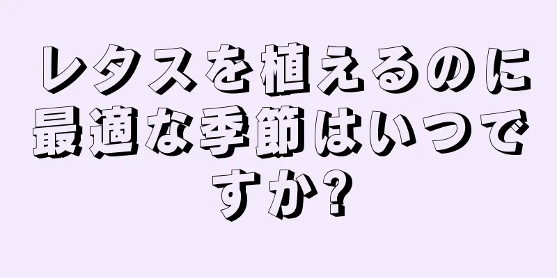 レタスを植えるのに最適な季節はいつですか?