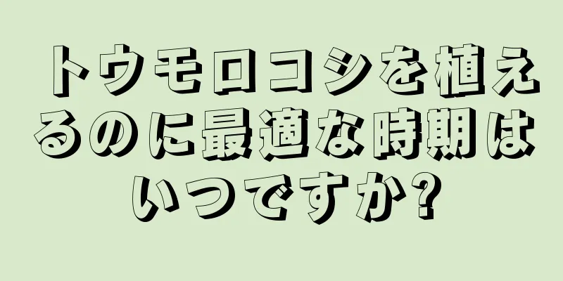 トウモロコシを植えるのに最適な時期はいつですか?