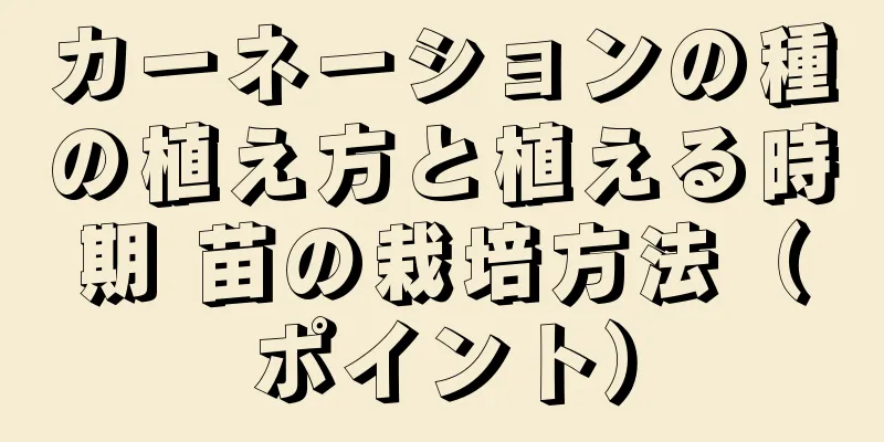 カーネーションの種の植え方と植える時期 苗の栽培方法（ポイント）