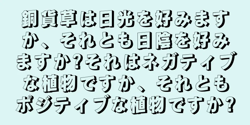 銅貨草は日光を好みますか、それとも日陰を好みますか?それはネガティブな植物ですか、それともポジティブな植物ですか?