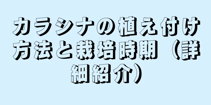 カラシナの植え付け方法と栽培時期（詳細紹介）