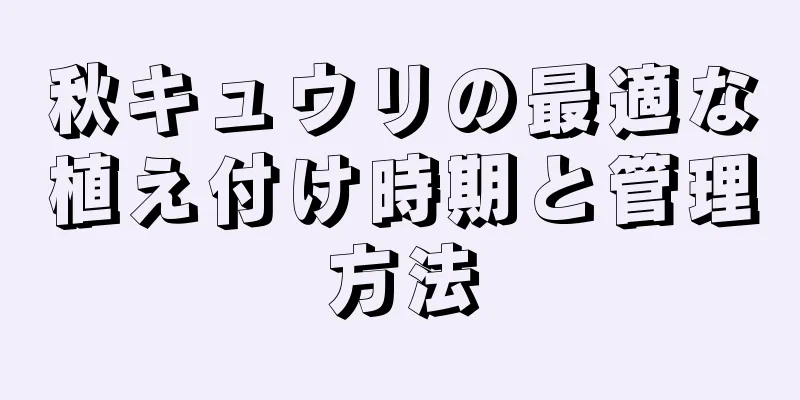 秋キュウリの最適な植え付け時期と管理方法