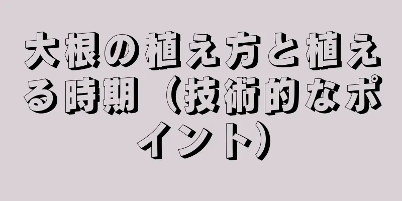 大根の植え方と植える時期（技術的なポイント）