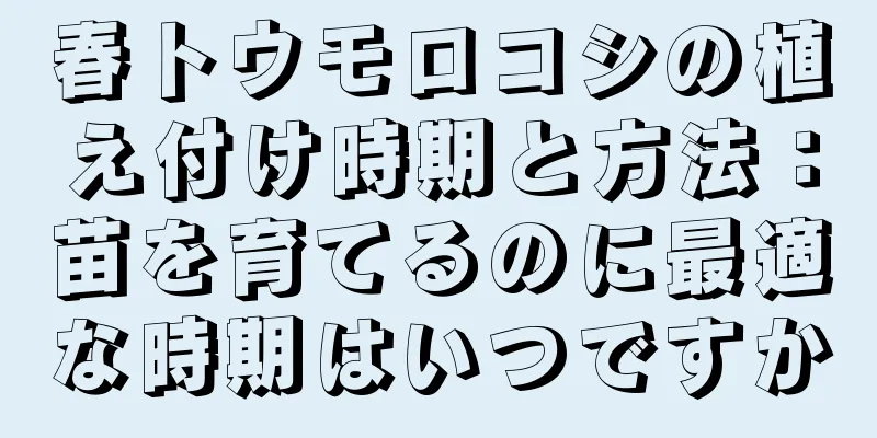 春トウモロコシの植え付け時期と方法：苗を育てるのに最適な時期はいつですか