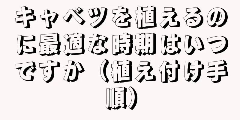 キャベツを植えるのに最適な時期はいつですか（植え付け手順）