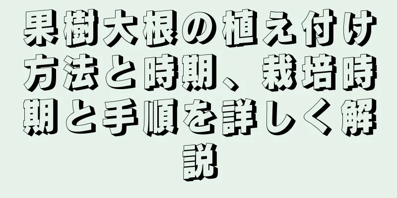 果樹大根の植え付け方法と時期、栽培時期と手順を詳しく解説