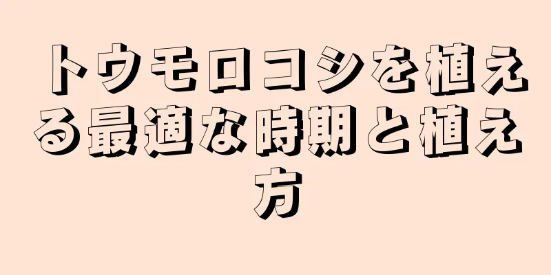 トウモロコシを植える最適な時期と植え方